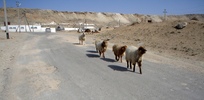 Aktau Region Aktau Region