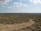 Mangistau's Steppe