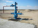 Wellhead